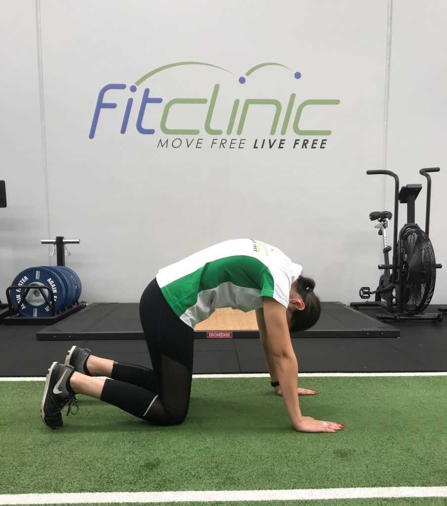Relief and Mobility for Low Back Pain